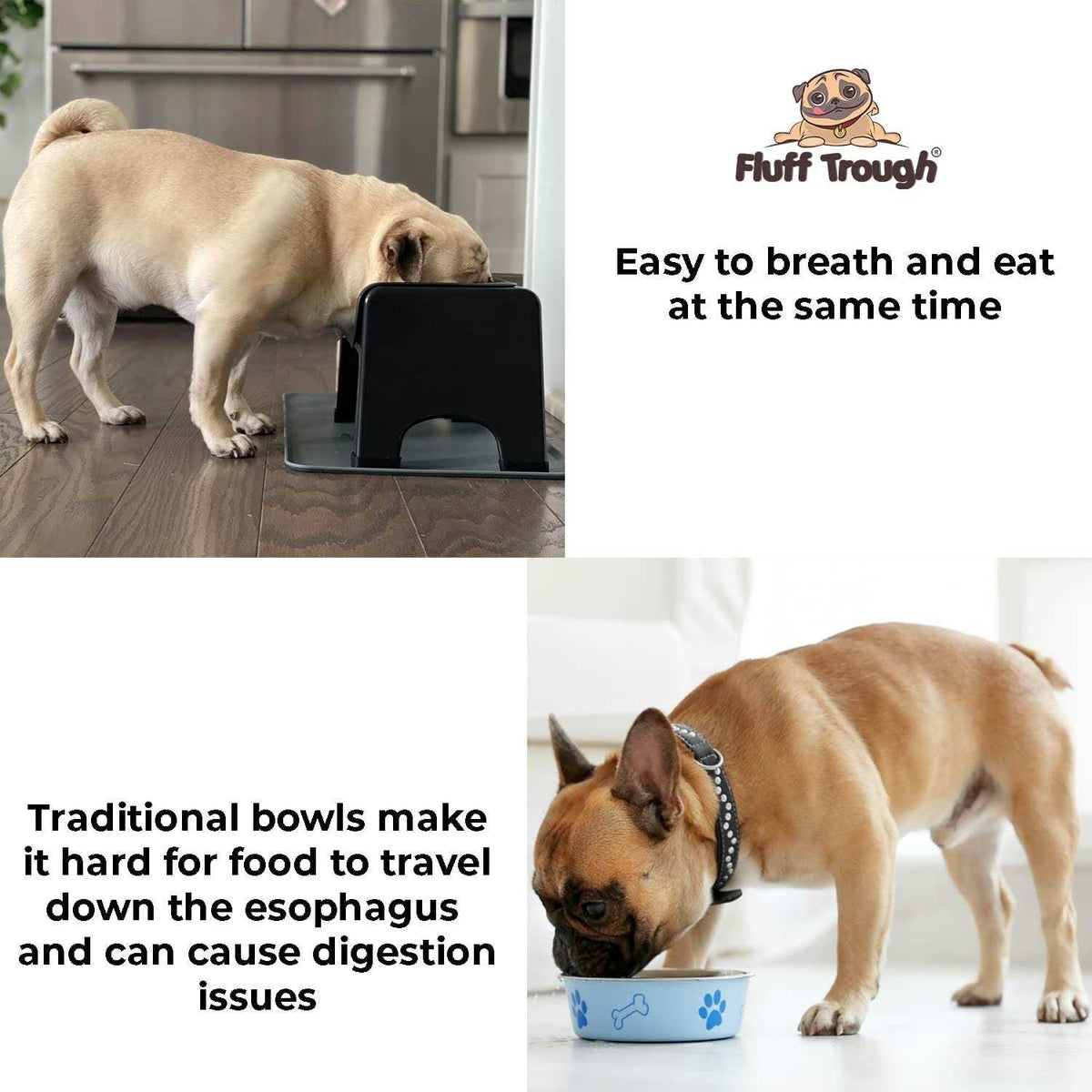 Elevated Dog & Cat Feeder S24664