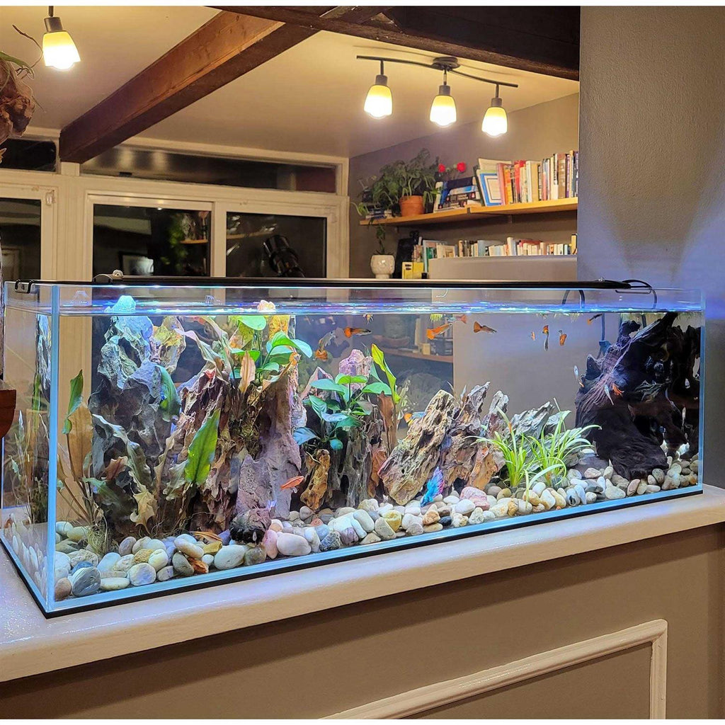 Crystal Bookshelf Aquarium L41161