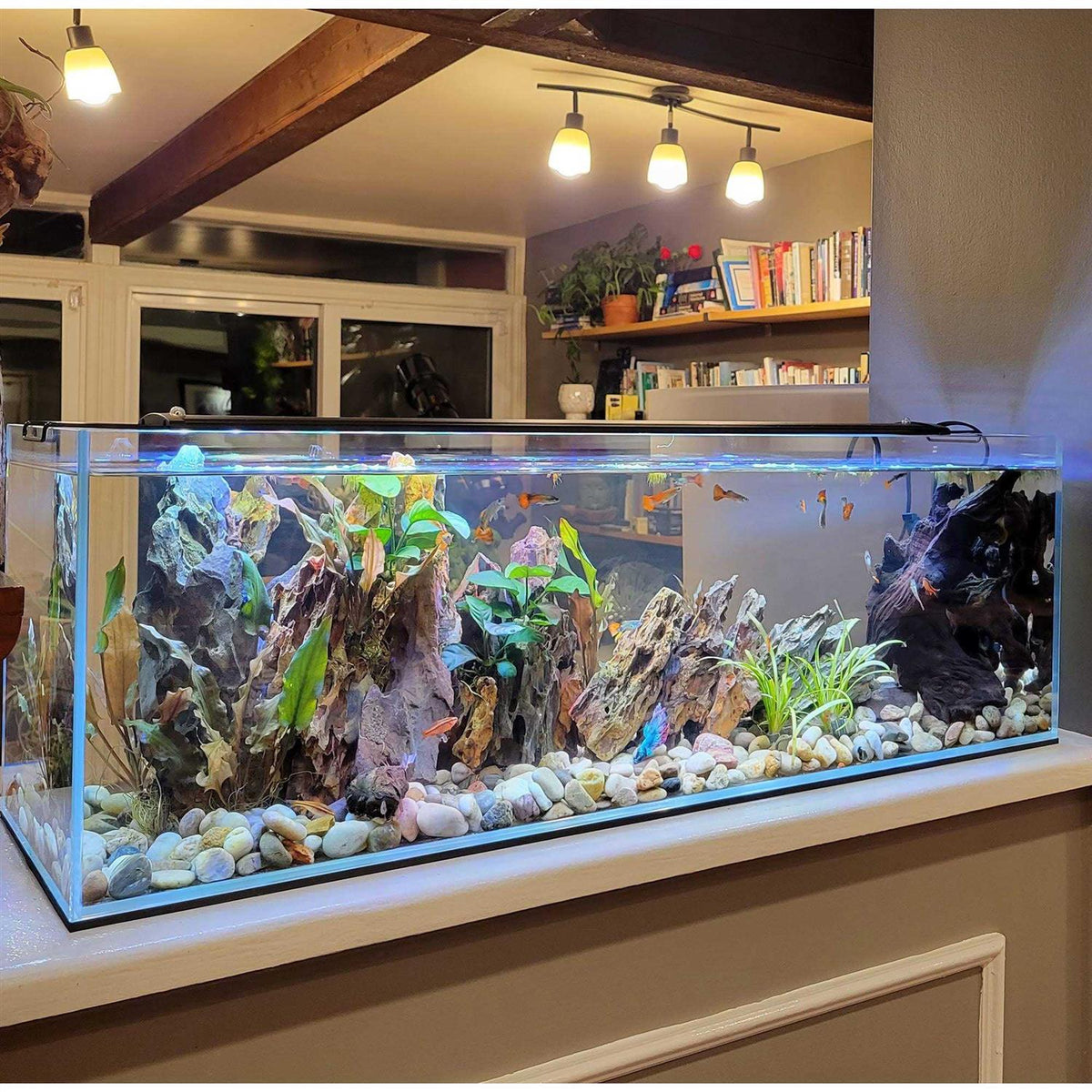 Crystal Bookshelf Aquarium L41161