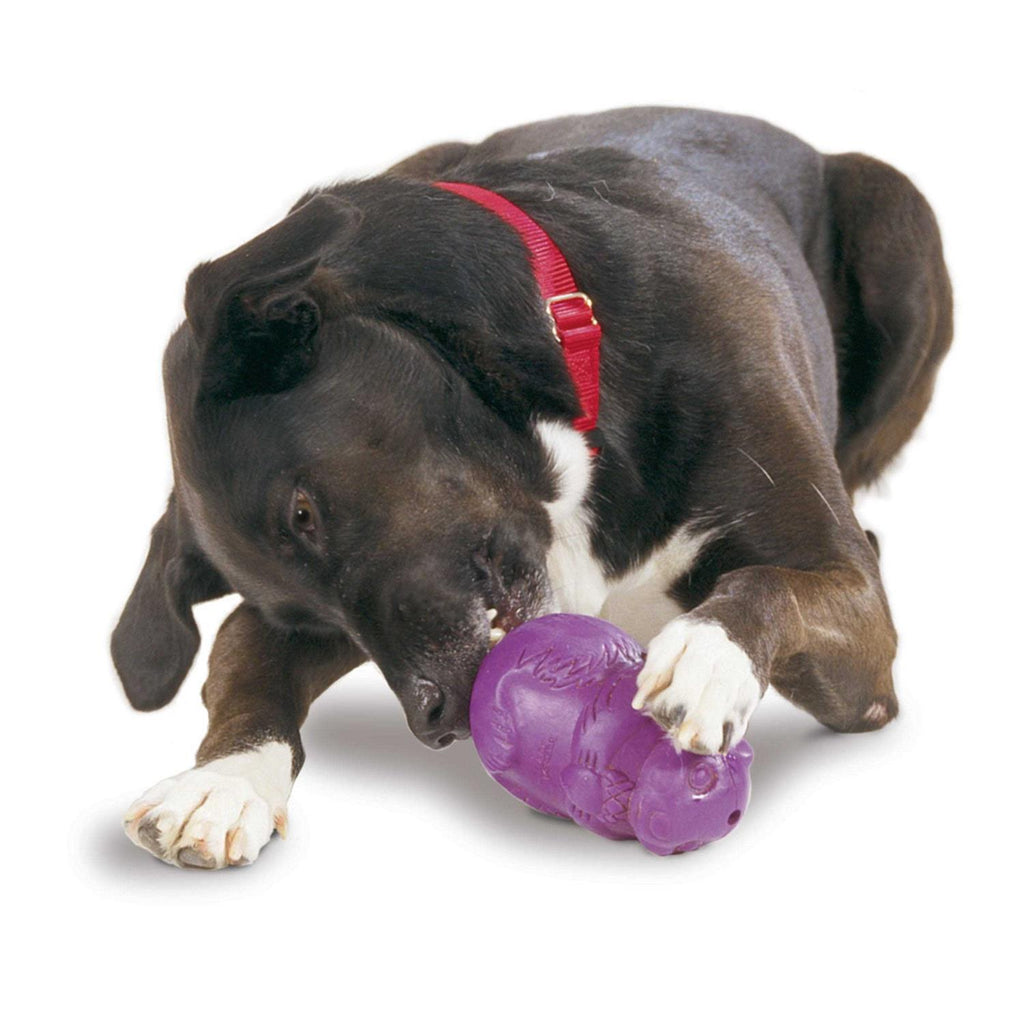 Squirrel Dude Dog Toy O10423