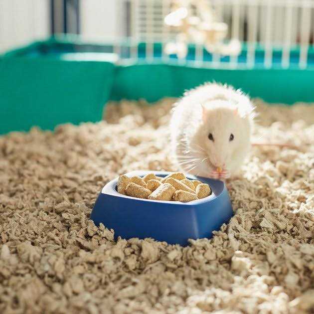 Rat & Mouse Diet V9443