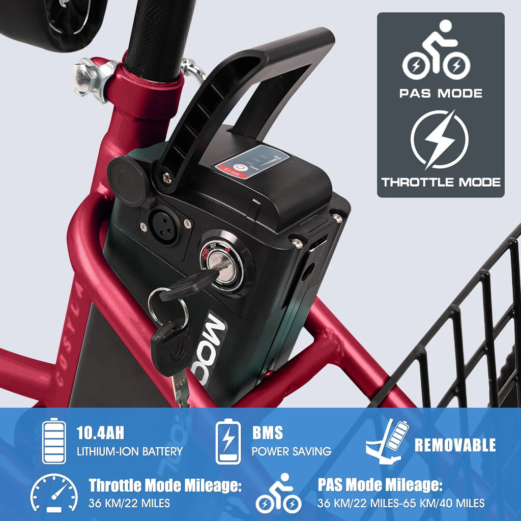24Inch Electric Trike, 350W 36V 10AH Lithium Battery, 7 Speeds Three Wheel Bike N9026