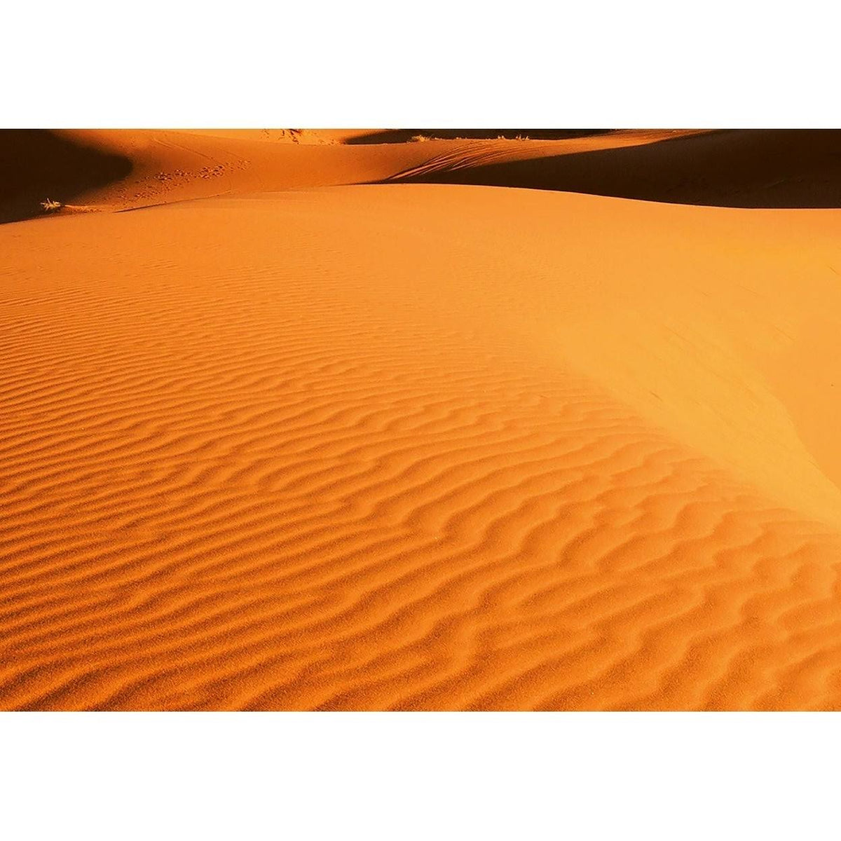 Desert Landscape Wall Mural A875913