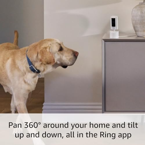 White 360° Pan-Tilt Indoor Cam with Two-Way Talk Z15245