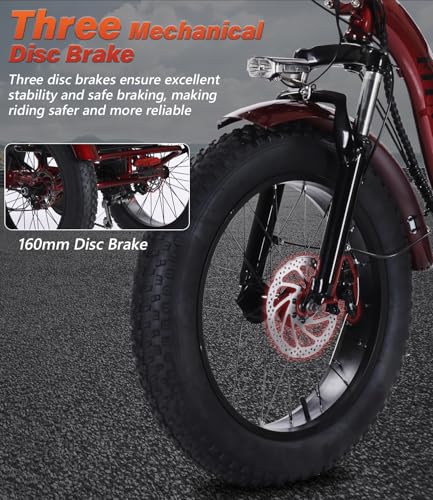 Electric Tricycle 3 Wheel Bike G706107