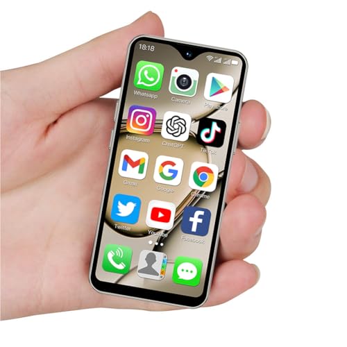 2+16GB Metallic Gray Mini 4G Smartphone O302496