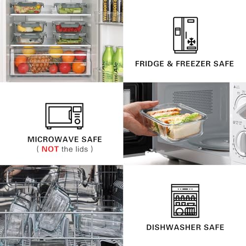 10 Pack 22 Oz Glass Meal Prep Containers with Lids, Gray B213266