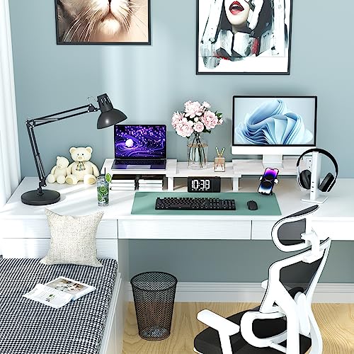 Large Dual Monitor Stand Wood Light Gray G317