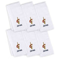 White 6-Pack Burp Cloth N541
