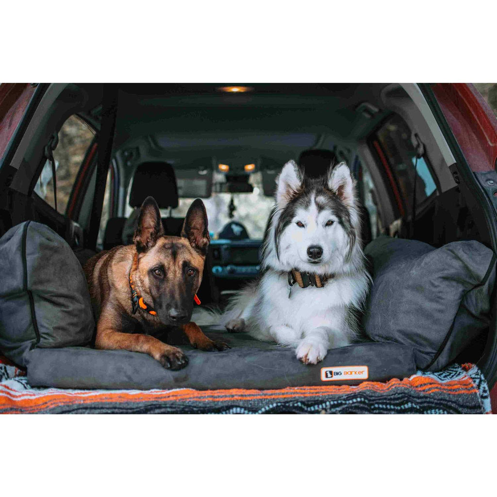 Travel Bed X43418