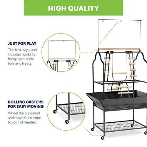 Parrot Playstand Y6293