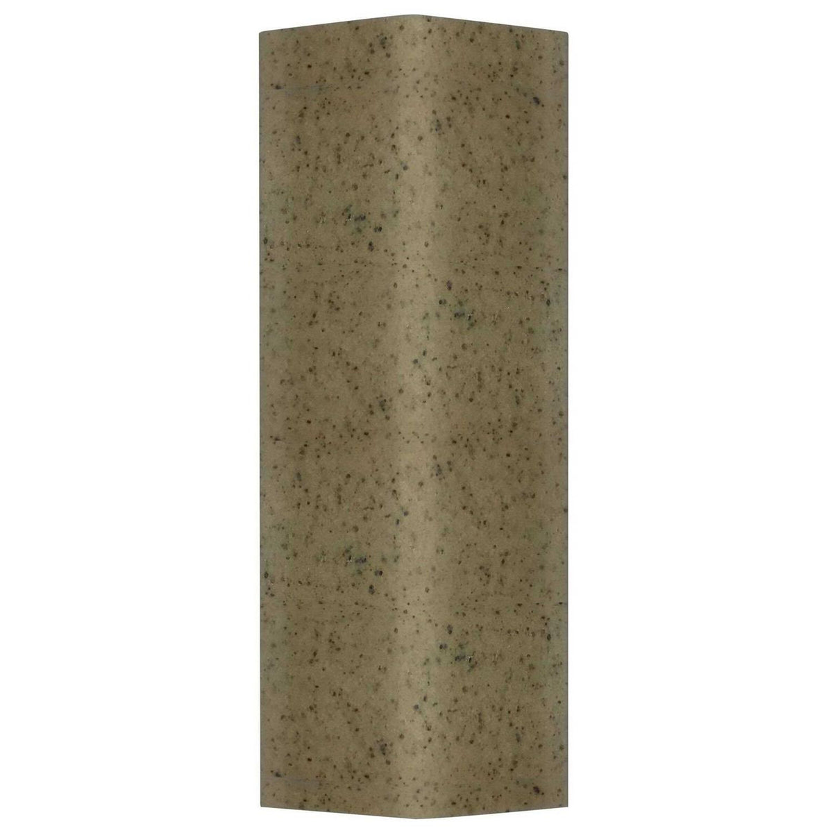 Soup Bones Dog B5939