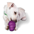 Squirrel Dude Dog Toy O10423