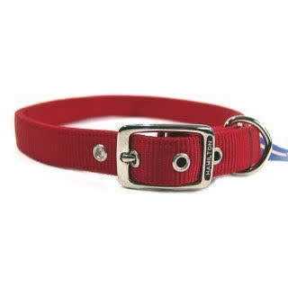 Thick Nylon Dog Collar C440689