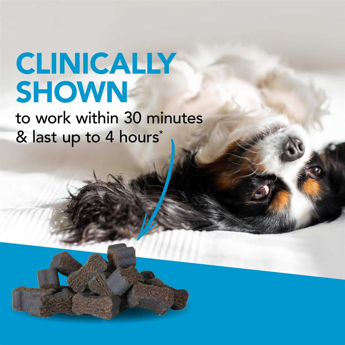 Dog Chews H53589