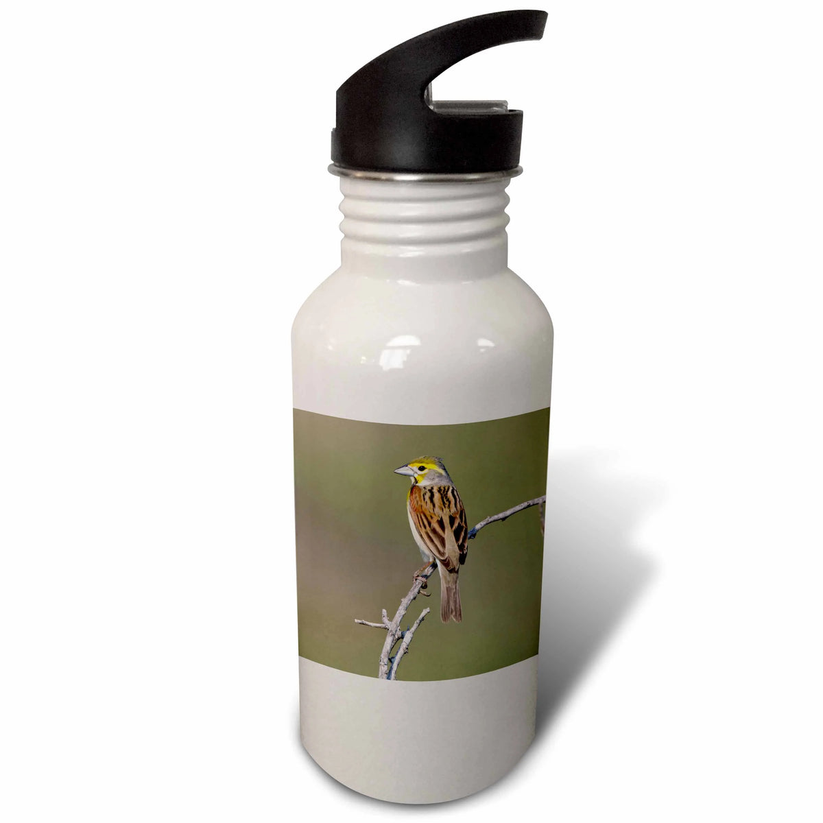 21 oz Sports Water Bottle J479079