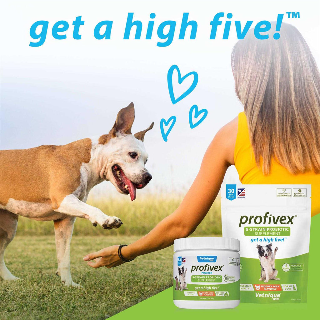 Probiotic Powder for Dogs & Cats A8089