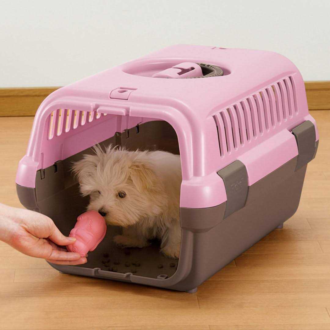 Pet Travel Carrier C529138