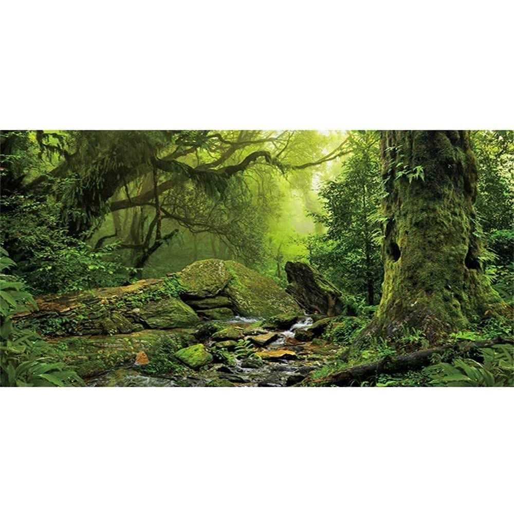 Foggy Forest Reptile Habitat Background G946320