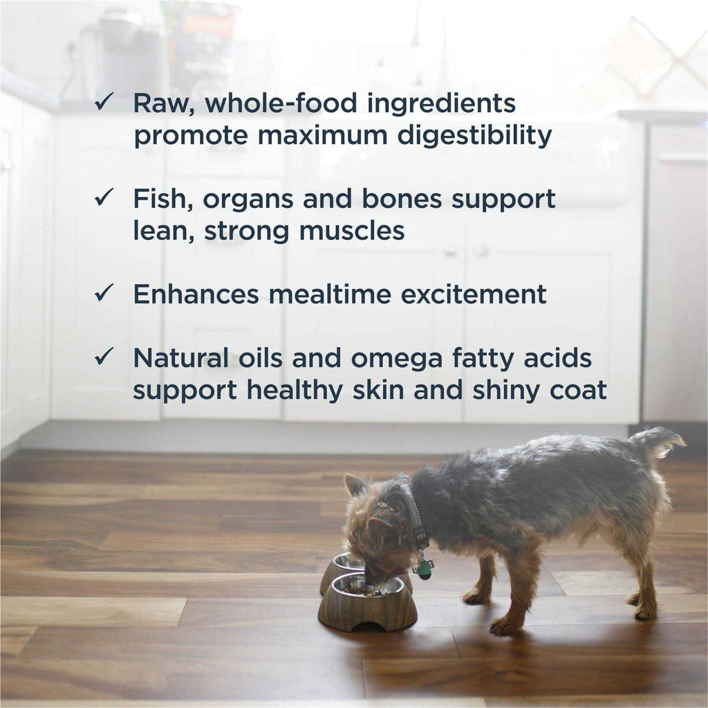 Frozen Raw Dog Food S254347