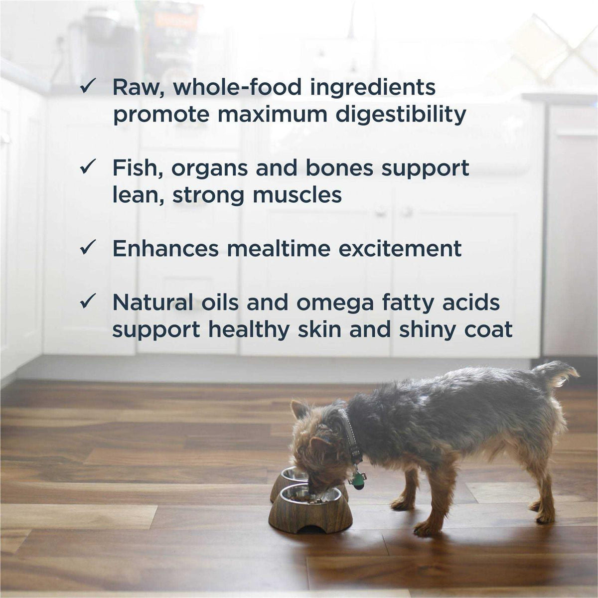 Frozen Raw Dog Food S254347