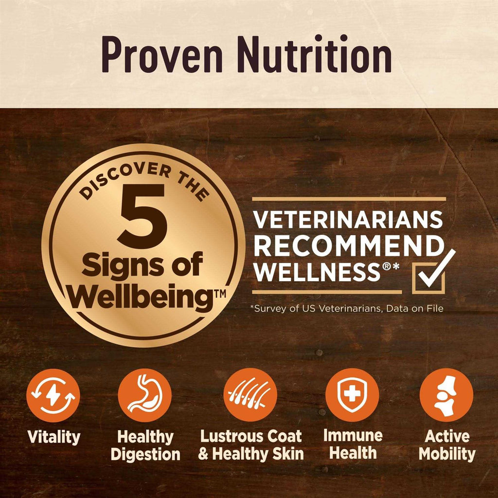 Senior Dry Dog Food X3572