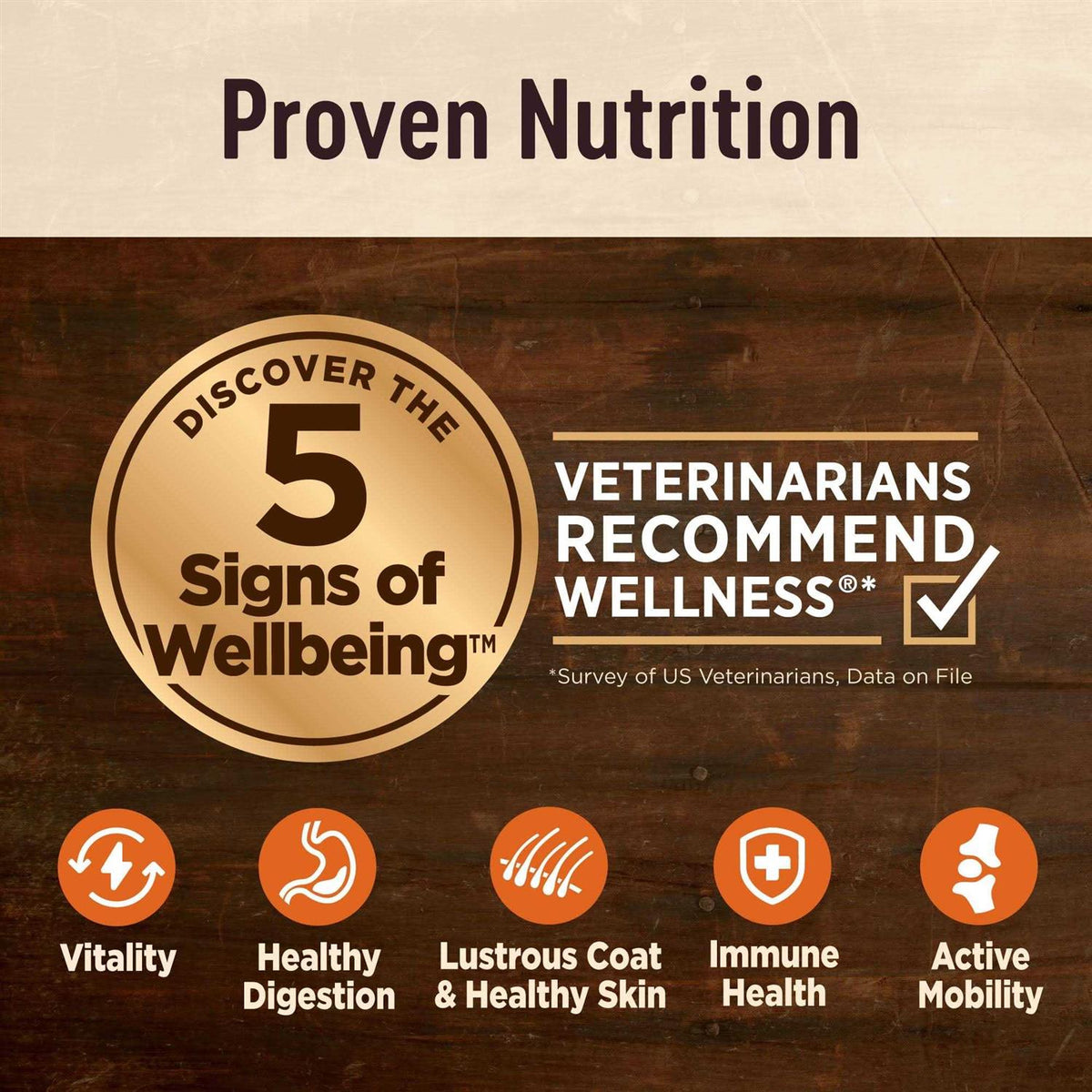 Senior Dry Dog Food X3572