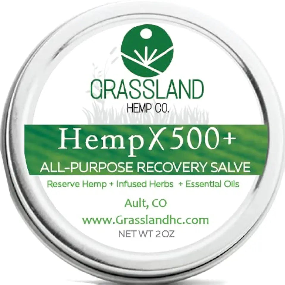 500mg Natural Plant-Based Hemp Salve 2 oz P7886