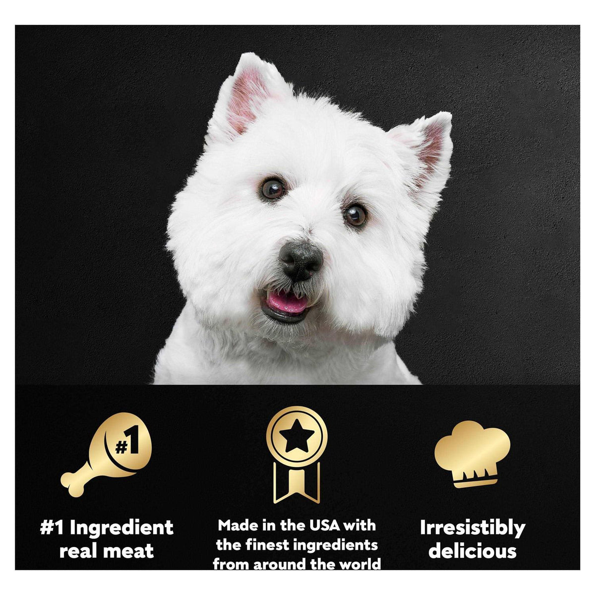 Grilled Dog Food H308