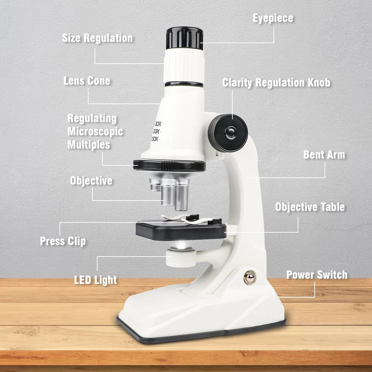 Microscope Kit with LED Light U56535