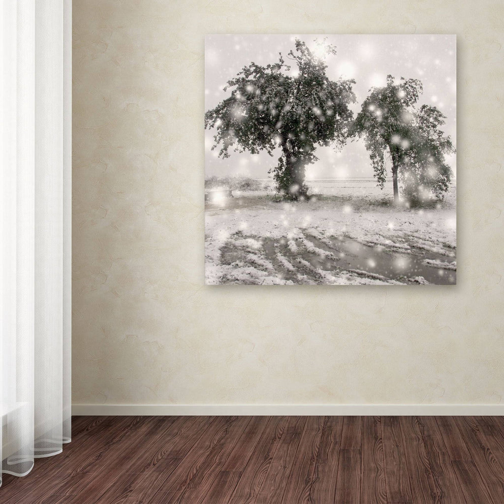 Canvas Art D464