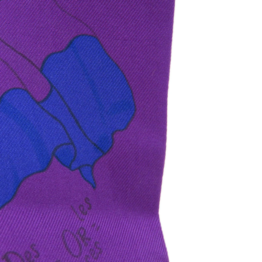 Silk Scarf T69029