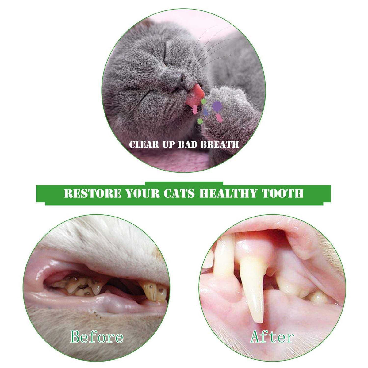 Catnip Cat Toothbrush Toy K82720