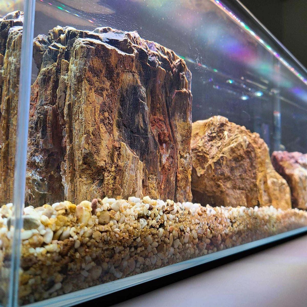 Crystal Bookshelf Aquarium L41161