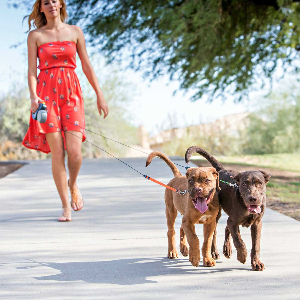 Retractable Dog Leash G141