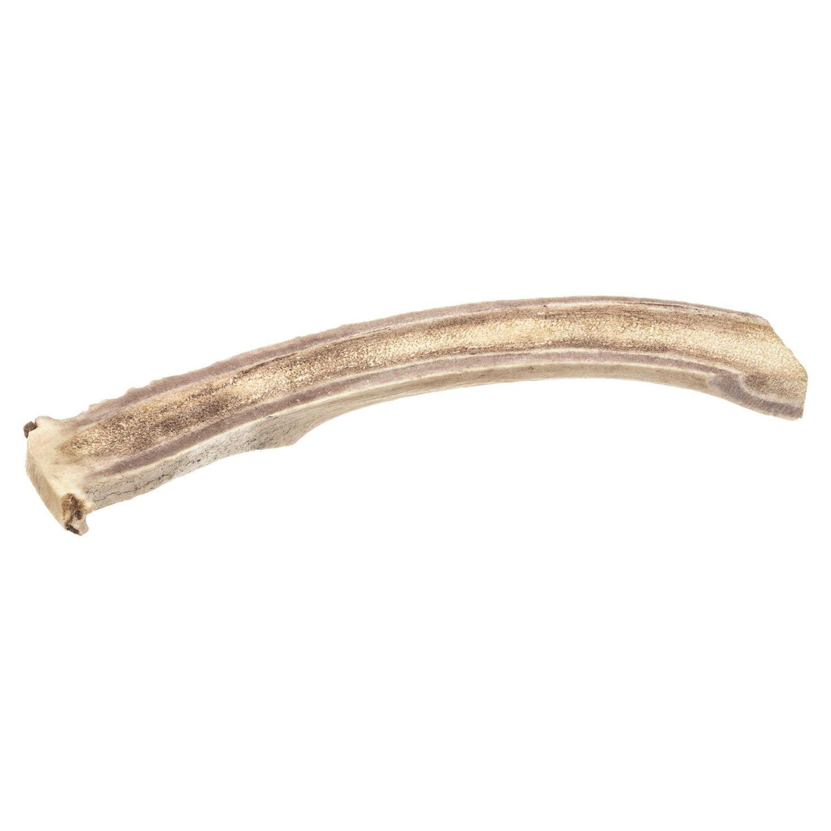 Deer Antler P115