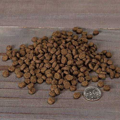 Grain-Free Dry Cat Food P652