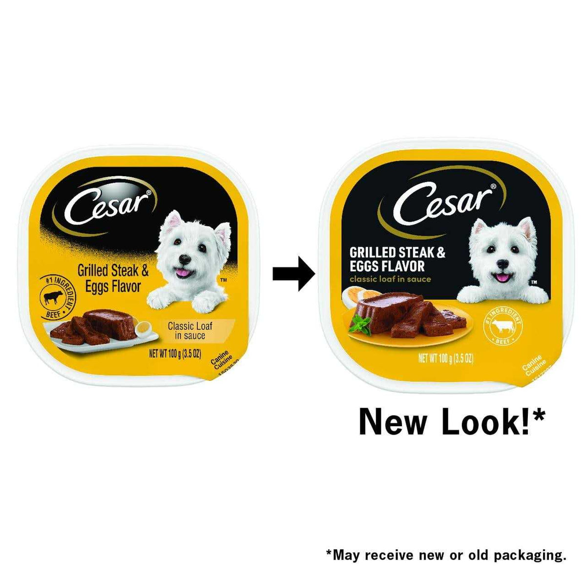 Grilled Dog Food H308