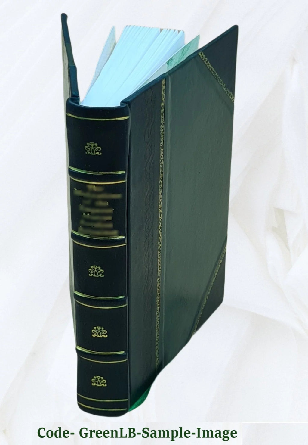 1917 Leather Bound M873119