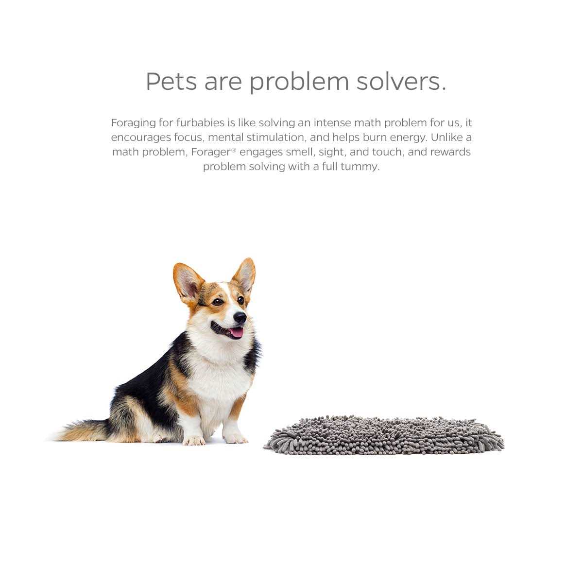 Slow Feeder Cat & Dog Snuffle Mat Z303085
