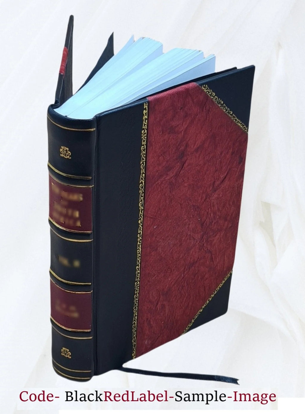 1917 Leather Bound M873119