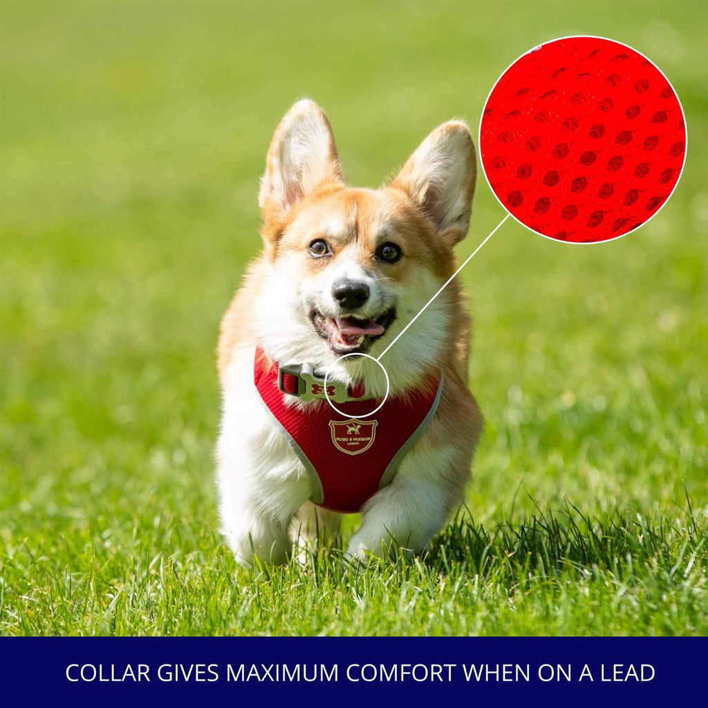 Mesh Dog Collar N6927