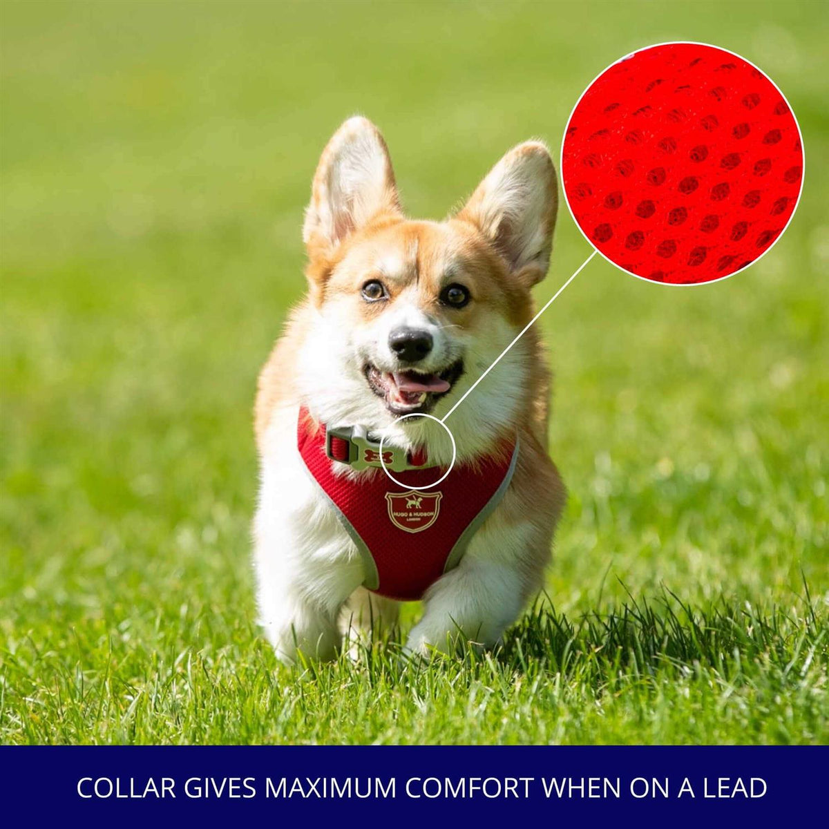Mesh Dog Collar N6927