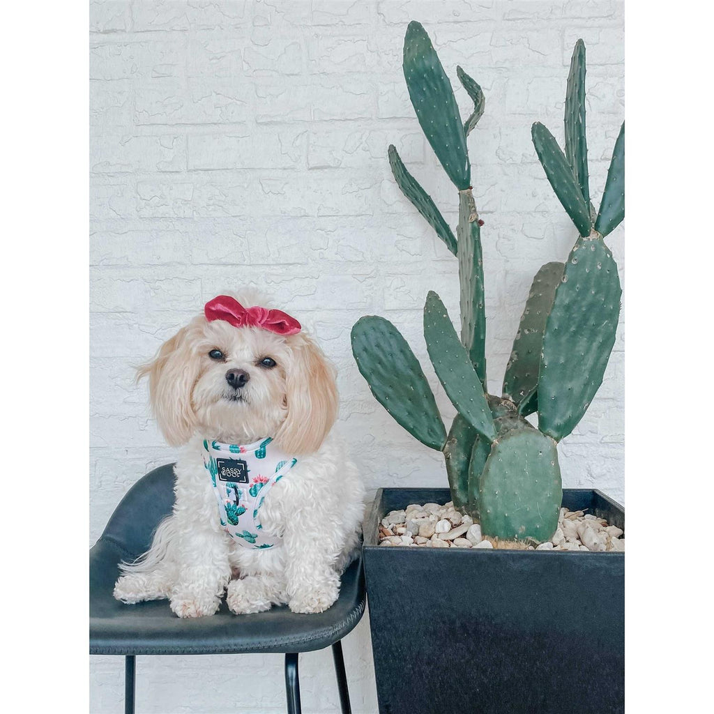 Adjustable Dog Harness D989